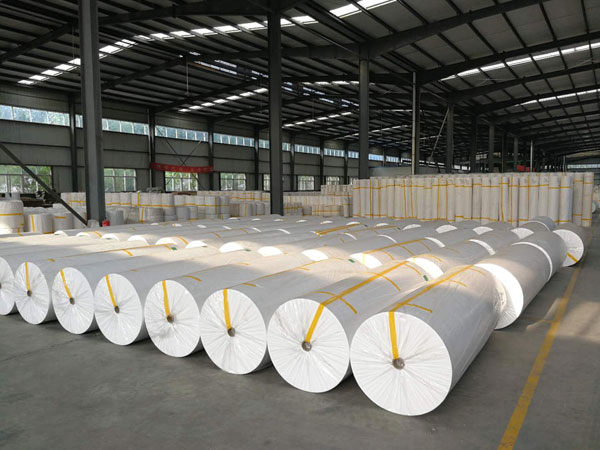 永德狭缝式涤纶纺粘无纺布